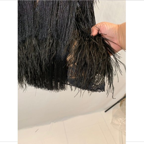 NEW $648 Tadashi Shoji‎ Aubrie Mini Fringe Lace Great Gatsby Dress [ SZ 2 ] - Picture 8 of 13